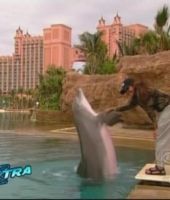 jj_Janet_Extra_Bahamas_2.jpg