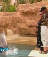 jj_Janet_Extra_Bahamas_4.jpg