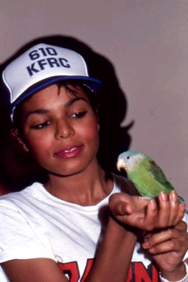 jj_JanetLatoya_Hayvenhurst_9.jpg