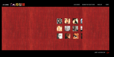 janet_website_velvetrope_28929.png