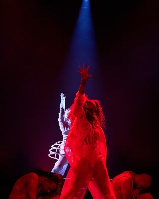 jj_JanetJapanTour_202600018.jpg