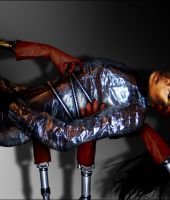 SolaimanFazelJanetJacksonTour002.jpg