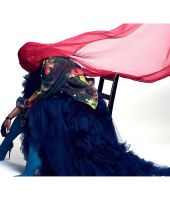 jj_Metamorphosis_Book_SolFaz_2_7.jpeg