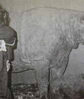 1985_GWRHonorsMJ_7.jpg